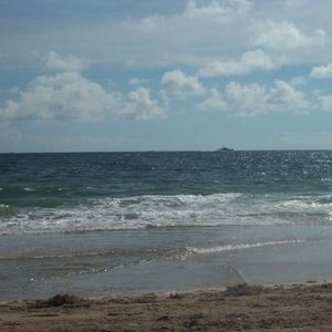 Meet your Posher, Wilma